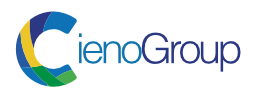 cienogroup.com